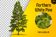 CUT OUT TREES - 60 PCS BUNDLE, a Packaging Mockup by 3DSTORE (Thumbnail 32 of 63)