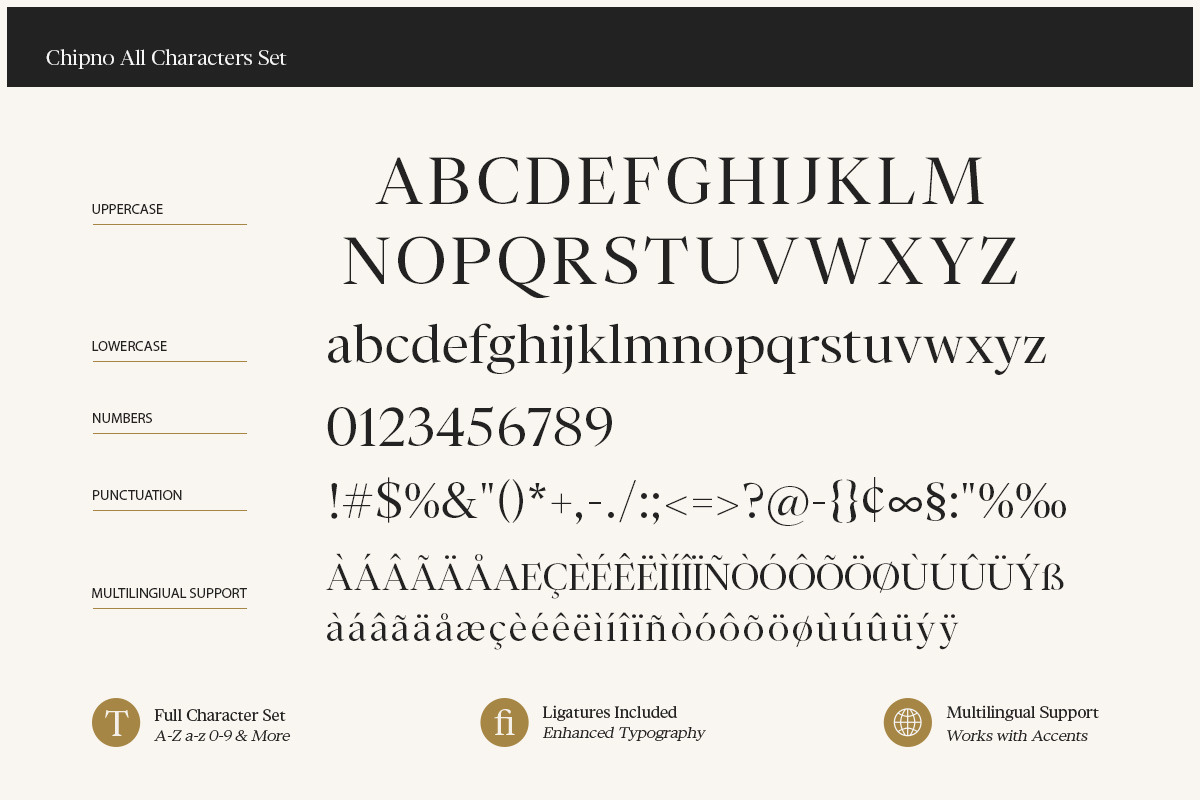 Chipno, a Serif Font by Attract Studio (Photo 16 of 16)