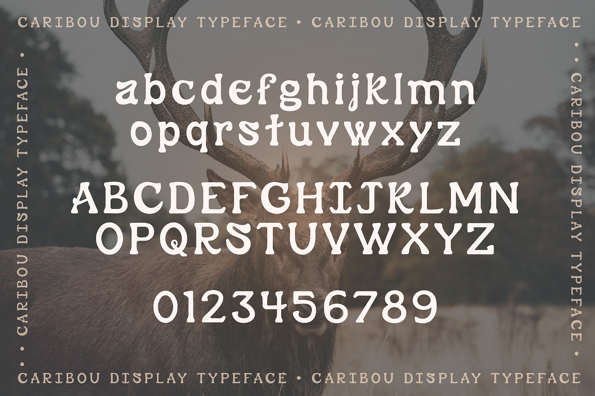 Caribou – Retro Serif, a Serif Font by Lateral Design (Photo 2 of 7)