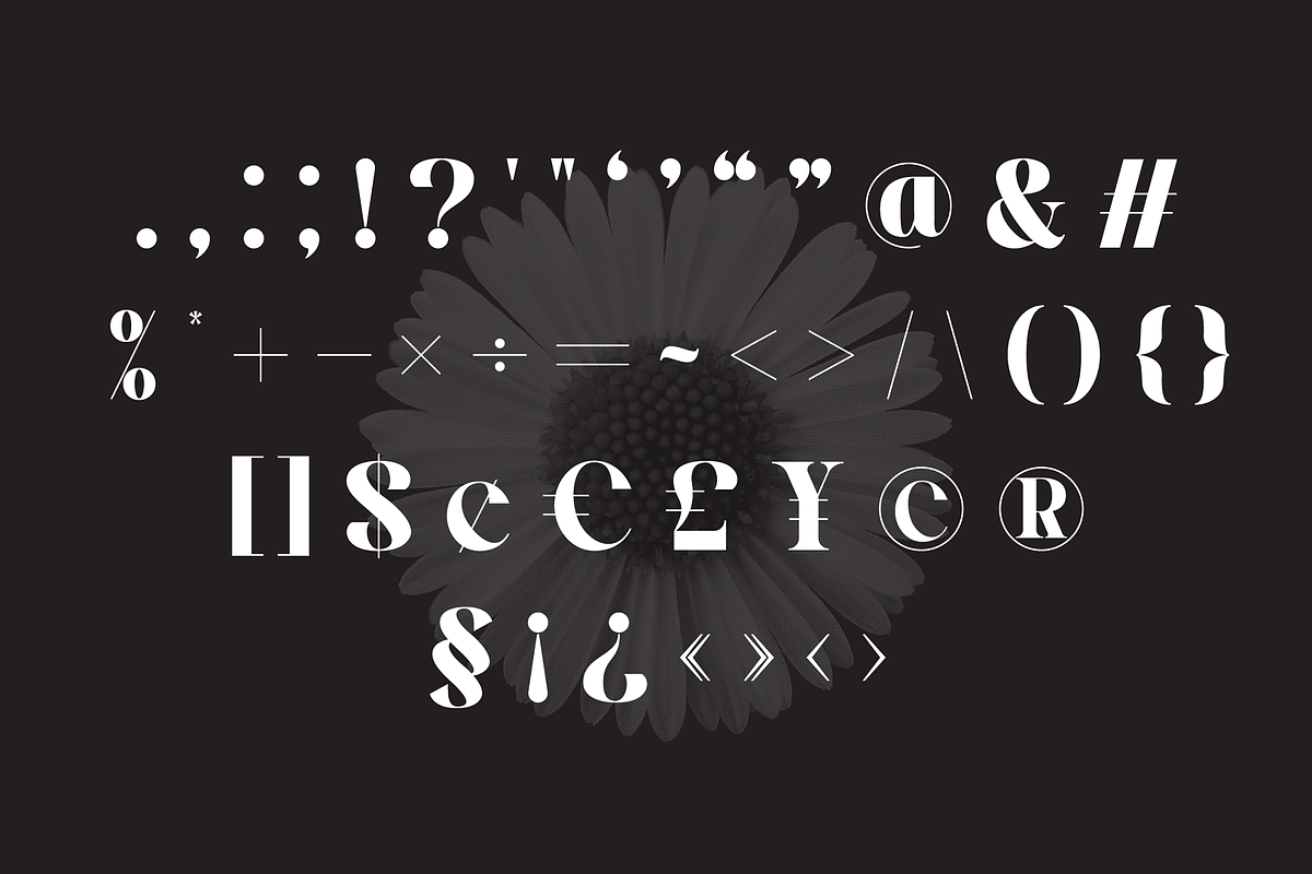Hegarown Display Serif Font, a Serif Font by Randi Irvan | Rvandtype (Photo 13 of 16)