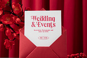 Rosland - Elegant Display Serif, a Serif Font by timelesstype.co (Thumbnail 13 of 20)