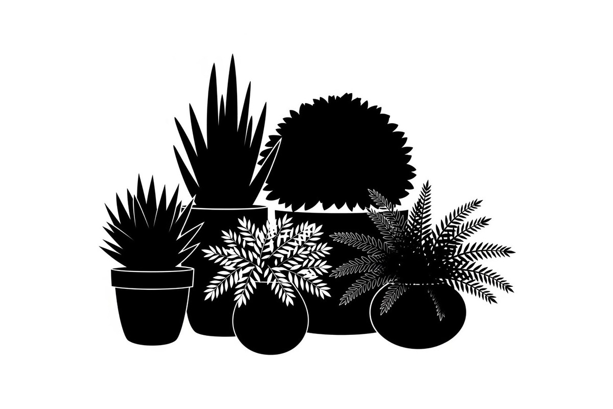 50 Botanical Garden Silhouette bundl, an Illustration by Designs_River (Photo 45 of 51)