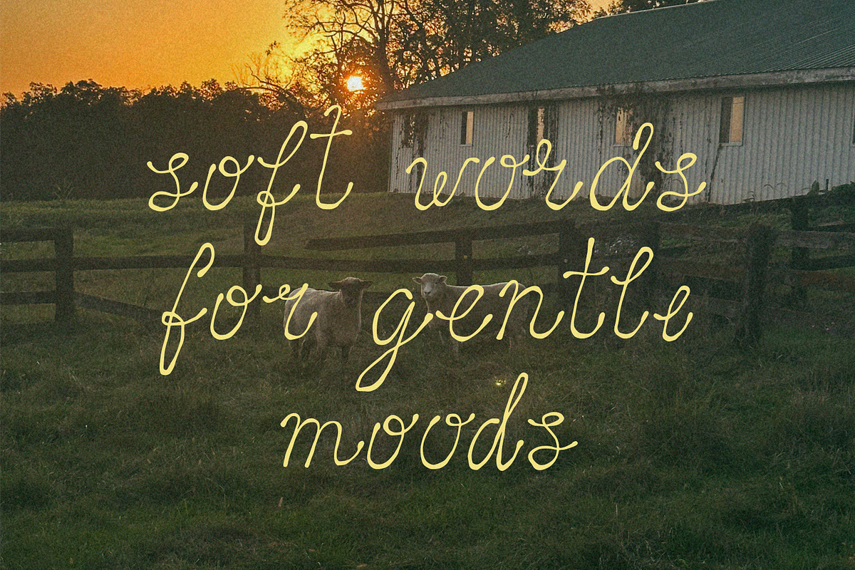 The Quietude Poetic Romantic Script, a Script Font by AnMark (Photo 8 of 13)