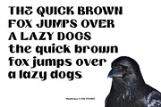 Illuminary Modern Sans Serif, a Sans Serif Font by Oui Studio (Thumbnail 4 of 10)