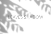 Leaves Shadow on Wall Background., a Background Graphic by kaisorn (Thumbnail 2 of 8)