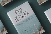 Reina Sofia - Vintage Display Serif, a Serif Font by SilverStag Type Foundry (Thumbnail 16 of 30)