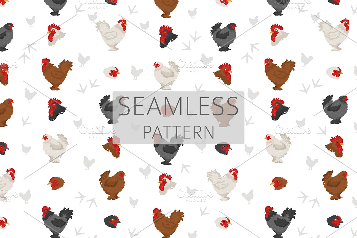 Frizzle Chicken breed clip art, an Animal Illustration by pet design shop (Photo 5 of 5)