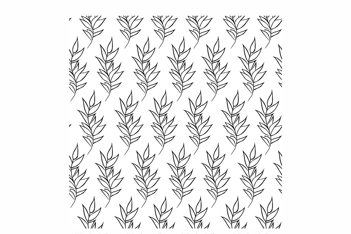 Floral Vector Patterns, a Wallpaper Graphic by Anel_S (Photo 7 of 8)