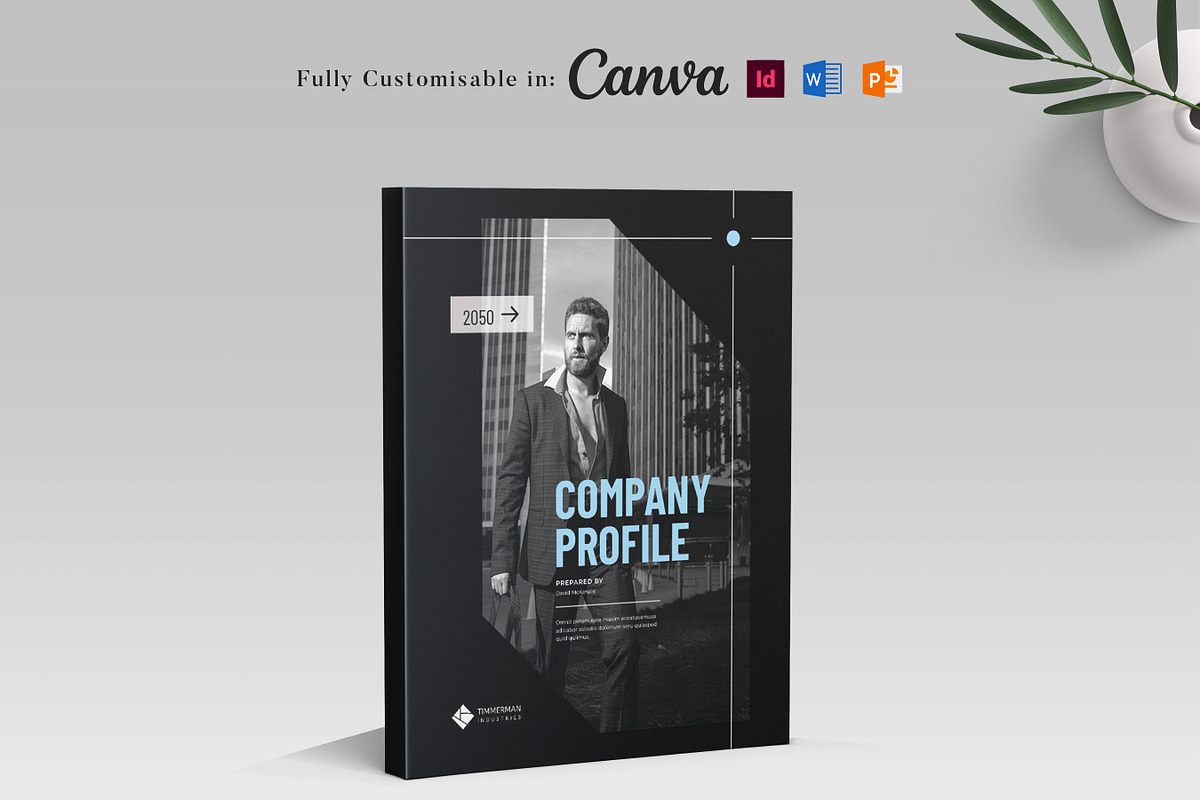 Business Profile Template, a Brochure Template by Niofix (Photo 1 of 6)