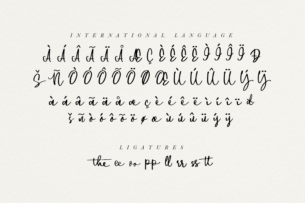 Downtown, a Script Font by endita (Photo 10 of 12)
