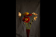 Poppies in Red Glass Vase, a Photo by This For There (Thumbnail 8 of 11)