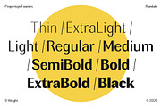 Rundale, a Sans Serif Font by Propertype (Thumbnail 9 of 15)