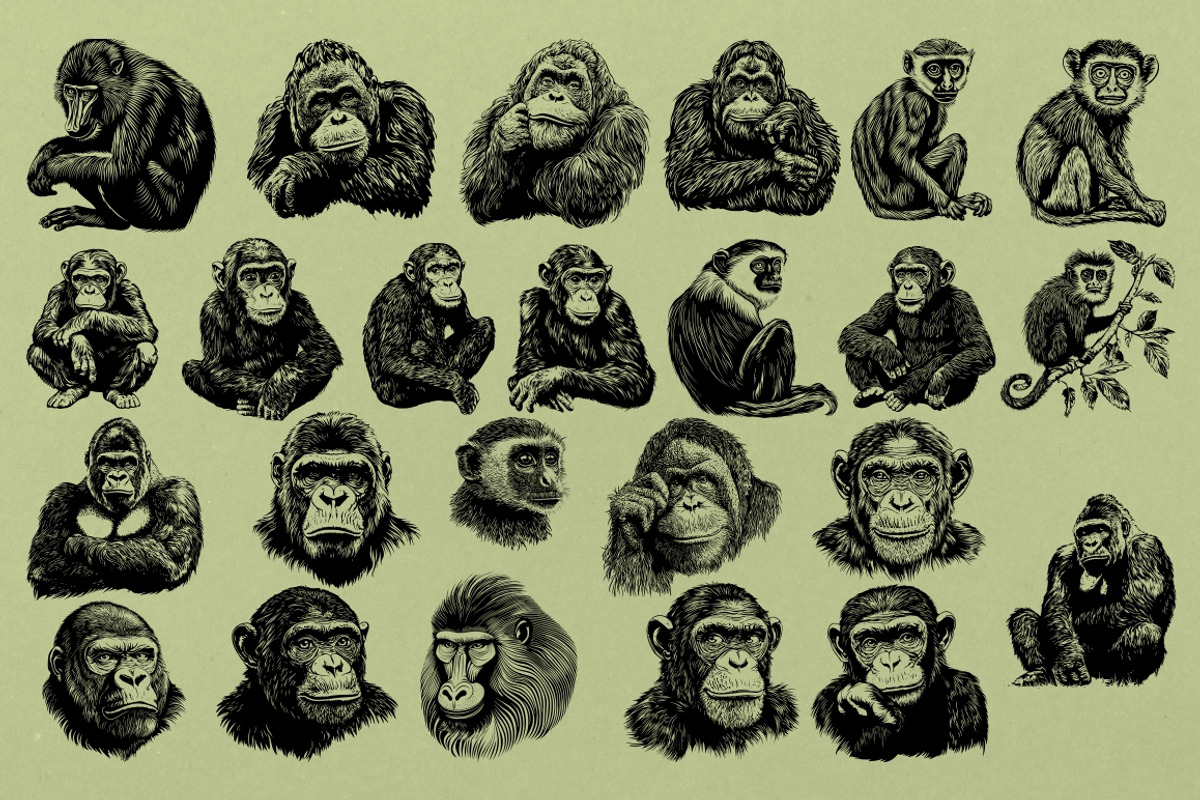 330 ZOO Animals vector illustrations, an Animal Illustration by Nocturnal Wolf (Photo 8 of 18)