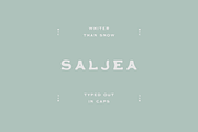 Saljea Typeface, a Font by Maybe This Color (Thumbnail 1 of 3)