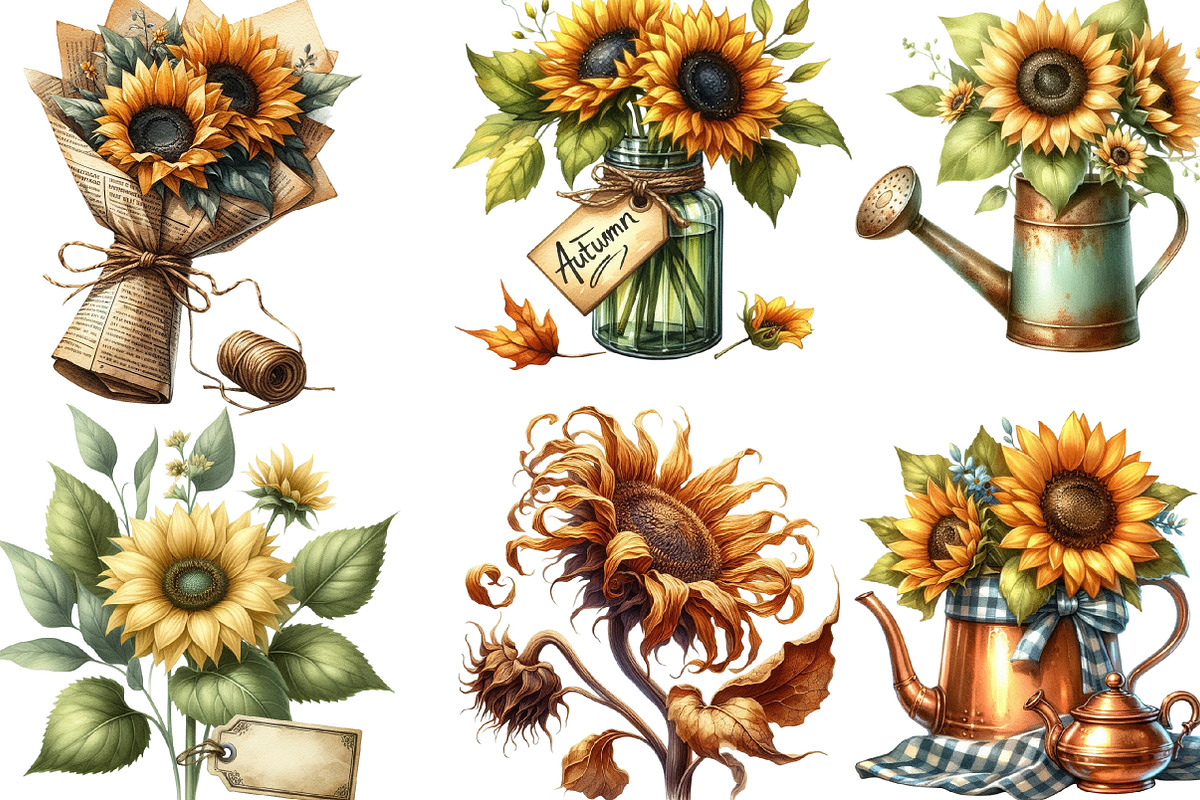 Vintage Sunflowers Autumn Clipart, an Illustration by Designking (Photo 3 of 4)