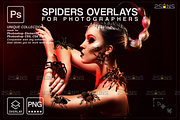 Spider Photoshop overlays, an Object Graphic by 2SUNS (Thumbnail 1 of 9)