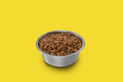 Dry pet food in bowl isolated on yellow studio background, a Photo by Prostock-Studio (Thumbnail 1 of 2)