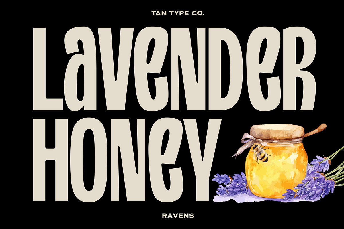 TAN - RAVENS, a Serif Font by TanType (Photo 8 of 11)
