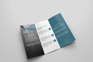 Business Tri-fold Brochures