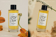 Netsera Calligraphic Serif Typeface, a Serif Font by SilverStag Type Foundry (Thumbnail 22 of 30)