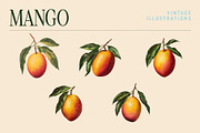 Vintage Graphic Elements_FRUITS, an Object Illustration by BOLD.Graphic (Thumbnail 6 of 8)