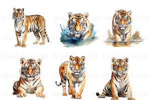 Watercolor Tiger Clipart, Tiger PNG