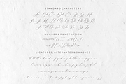 Luxury Font - Boheme Floral, a Script Font by 50Fox (Thumbnail 14 of 14)
