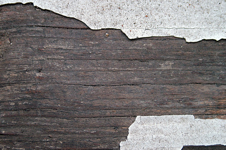 Wood texture featuring wood, texture, and background preview 6