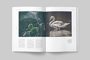 LUMINA Magazine, a Magazine Template by 46&2 Collective (Thumbnail 6 of 27)