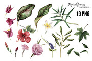 3 Tropical patterns & Floral set, a Pattern Graphic by ollalya (Thumbnail 5 of 5)