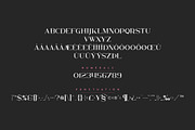 Kavo Font Bundle 17in1 + 24 logos, a Serif Font by VP Fonts (Thumbnail 21 of 23)