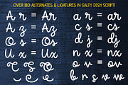 Salty Dish font duo, a Sans Serif Font by Missy Meyer (Thumbnail 8 of 8)