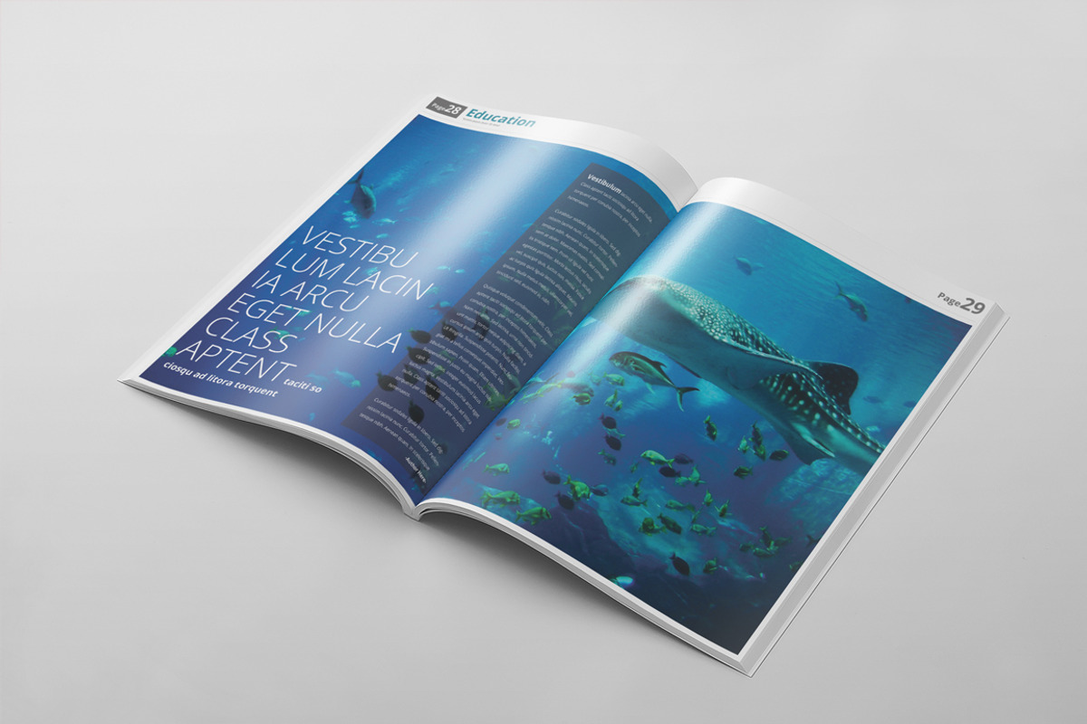 Magazine Template 40, a Magazine Template by pmvch (Photo 15 of 30)