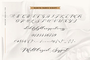 Rabiya Two Romantic Fonts - 50% Off, a Script Font by JROH Creative (Thumbnail 13 of 17)