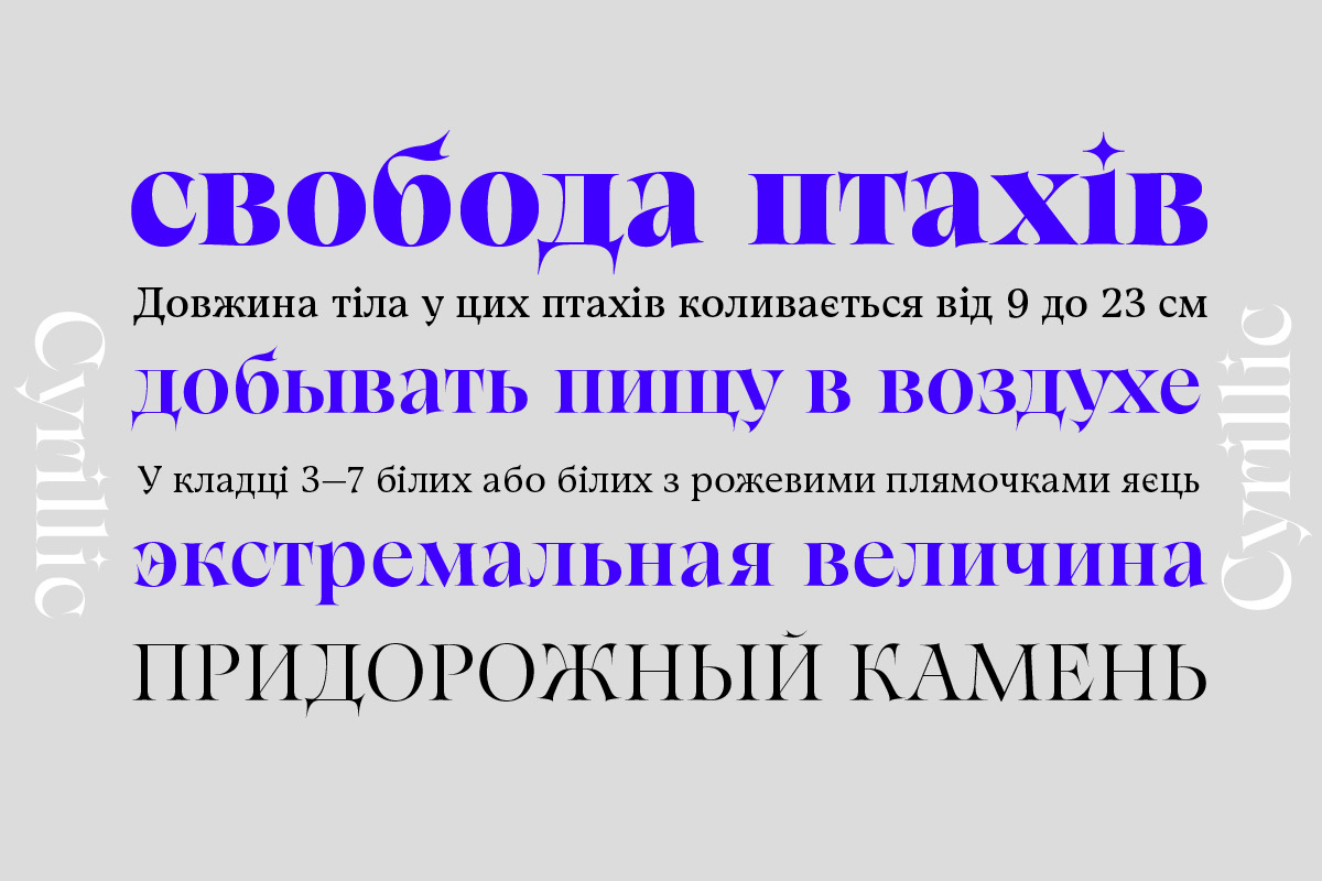 Gwen, a Serif Font by Fontfabric (Photo 3 of 4)