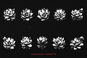 10 Bundle Dark Art Magnolia Flower, an Illustration by Morspective (Thumbnail 6 of 7)