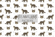 European wild cats clipart, an Animal Illustration by pet design shop (Thumbnail 9 of 10)