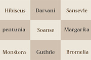 Bogesta, a Serif Font by Mantype Studio (Thumbnail 15 of 16)