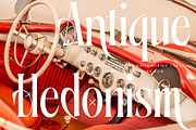 Aligner Tall Modern Serif Display, a Serif Font by timelesstype.co (Thumbnail 15 of 20)