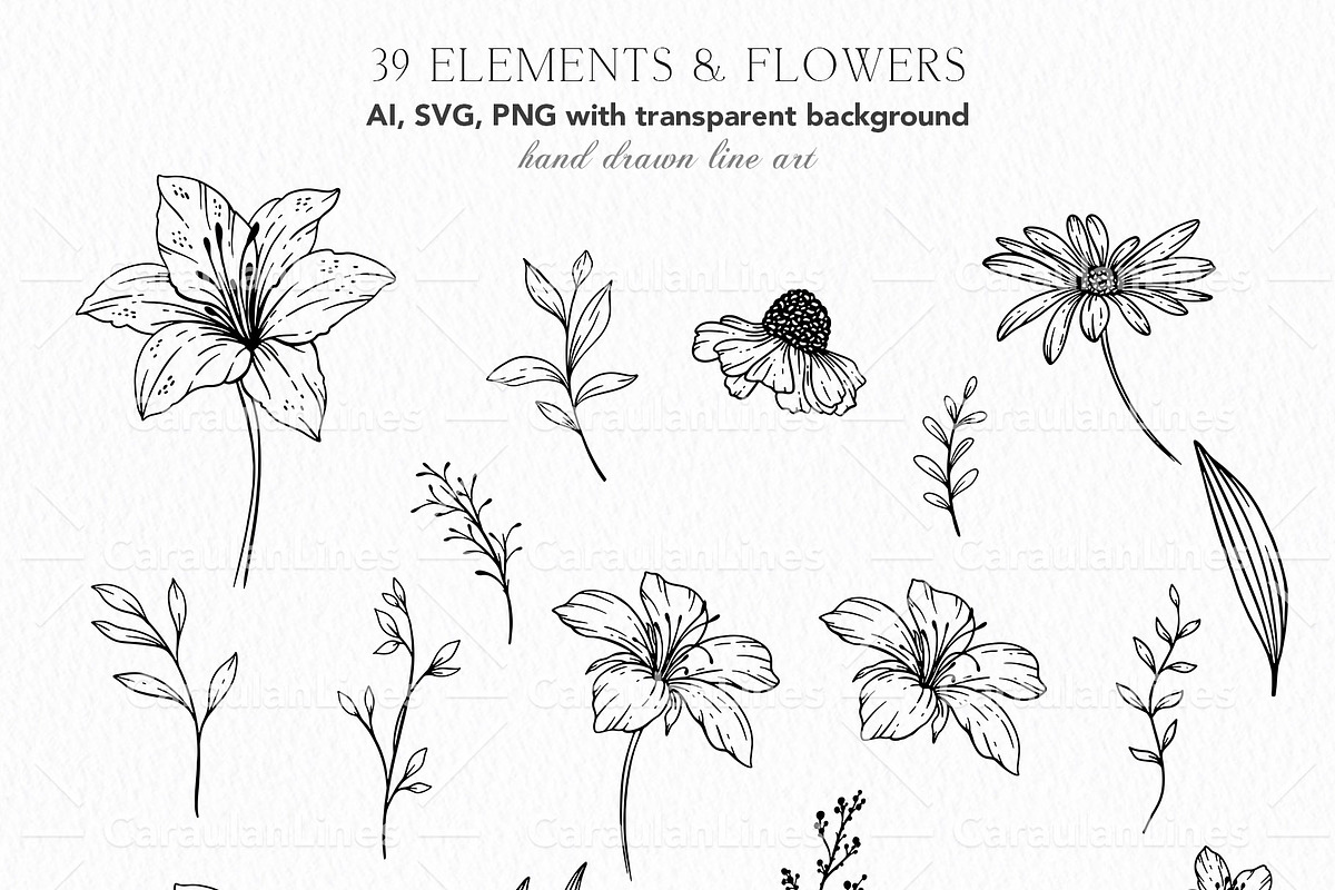 Wildflowers Line Art, an Object Graphic by CaraulanStore (Photo 10 of 12)