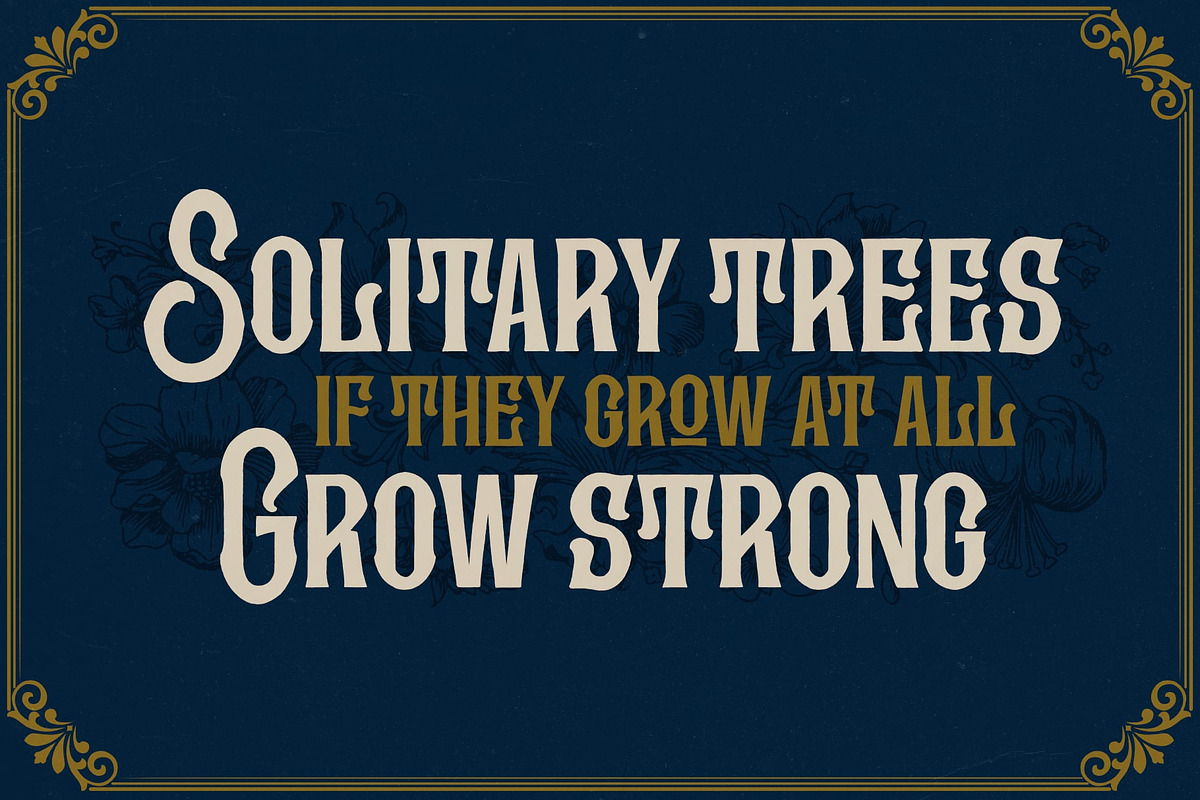 Kingstown parlour, a Slab Serif Font by Damarletter (Photo 8 of 8)