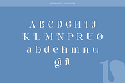 Pritude Radiance - Elegant Branding, a Serif Font by Sohel Studio (Thumbnail 9 of 10)