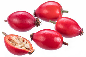 Rose-hips or wild rose berries isola, a Food & Drink Photo by Volff