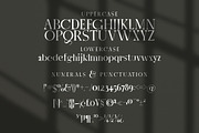 Letter Stylish Serif, a Serif Font by KennedyStudio (Thumbnail 8 of 10)