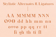 Francois Modern Serif Font, a Serif Font by Fancy Malone (Thumbnail 12 of 12)