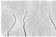 Growth - 50 Backgrounds, a Texture Graphic by GarryKillian (Thumbnail 18 of 51)