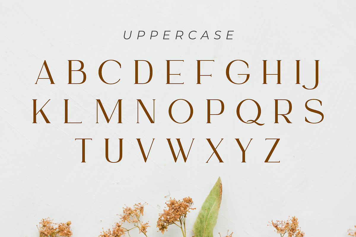 Ammira | A Modern and Elegant Serif, a Serif Font by Andrimada Creative (Photo 13 of 13)