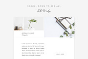 Clean E-Newsletter Bundle, an Email Template by Swiss_cube (Thumbnail 7 of 23)