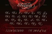 Berlyana Sensual, a Script Font by Burntilldead (Thumbnail 4 of 14)