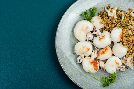 Grilled squids with nuts., a Food & Drink Photo by MLunov MLunov